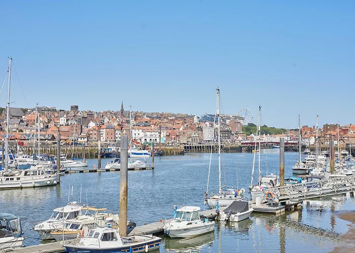 Host & - Abbey Nest *